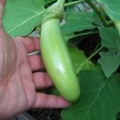 Premium 25 Louisiana LONG GREEN EGGPLANT Solanum Melongena Fruit Vegetable Seeds