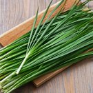 Exclusive 250 GARLIC CHIVE Allium Tuberosum Vegetable Seeds Exclusive 250 GARLIC CHIVE Allium Tuberosum Vegetable Seeds