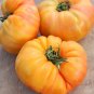 New Arrival 50 PINEAPPLE TOMATO Heirloom Beefsteak Indeterminate Solanum Fruit Vegetable See
