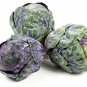 New Arrival 70 RED Ball BRUSSEL SPROUT Brussels Sprouts Brassica Oleracea Vegetable Seeds