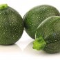 Exclusive 50 ROUND ZUCCHINI Summer SQUASH Cucurbita Pepo Vegetable Seeds