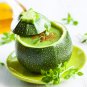 Exclusive 50 ROUND ZUCCHINI Summer SQUASH Cucurbita Pepo Vegetable Seeds