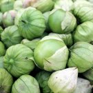 Top-Quality 200 GRANDE Rio VERDE TOMATILLO Green Physalis Ixocarpa Vegetable Seeds Top-Quality 200 GRANDE Rio VERDE TOMATILLO Green Physalis Ixocarpa Vegetable Seeds