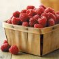 Top-Quality 100 RED RASPBERRY Rubus Idaeus Fruit Bush Vine Seeds