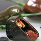 Premium 40 MULATO ISLENO PEPPER Brown Mildly Hot Ancho Poblano Capsicum Vegetable Seeds Premium 40 MULATO ISLENO PEPPER Brown Mildly Hot Ancho Poblano Capsicum Vegetable Seeds