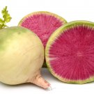Exclusive 300 WATERMELON RADISH Beauty Heart Raphanus Sativus Pink White Vegetable Seeds