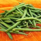New Arrival 50 TENDERGREEN GREEN BEAN Phaseolus Vulgaris Vegetable Seeds New Arrival 50 TENDERGREEN GREEN BEAN Phaseolus Vulgaris Vegetable Seeds