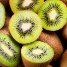 Limited Edition 100 KIWI FRUIT Kiwi Actinidia Vine Seeds (Kiwifruit, Hardy Tara Vine, Gooseberry