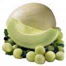 Top-Quality 150 HONEYDEW GREEN FLESH Cucumis Melo Inodorus Melon Fruit Seeds
