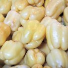 Premium 50 WHITE CLOUD BELL PEPPER Sweet Mild Capsicum Annuum Vegetable Seeds