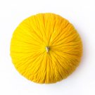 New Arrival 50 Golden Beauty CASABA MELON Cucumis Melo Fruit Seeds