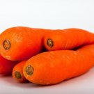 Best-Selling 1500 DANVERS CARROT Dark Orange Daucus Carota Vegetable Seeds Best-Selling 1500 DANVERS CARROT Dark Orange Daucus Carota Vegetable Seeds