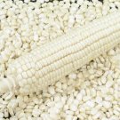Top-Quality 100 Truckers Favorite WHITE SWEET CORN Zea Mays Vegetable Seeds
