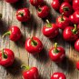 New Arrival 100 Red CHERRY HOTS PEPPER Finger Hots Chili Capsicum Annuum Vegetable Seeds