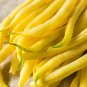 New Arrival 50 Yellow CHEROKEE WAX BEAN Bush AAS Winner Phaseolus Vulgaris Seeds