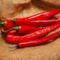 Premium 300 LONG Red CAYENNE PEPPER Capsicum Annuum Vegetable Seeds