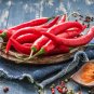 Premium 300 LONG Red CAYENNE PEPPER Capsicum Annuum Vegetable Seeds