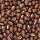 Exclusive 50 ADZUKI BEAN Aduki Red Bean Maroon Phaseolus Angularis Legume Vegetable Seeds Exclusive 50 ADZUKI BEAN Aduki Red Bean Maroon Phaseolus Angularis Legume Vegetable Seeds
