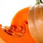 Premium 40 SMALL SUGAR PUMPKIN Orange Pie or Carving Cucurbita Pepo Vegetable Seeds