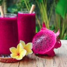 Limited Edition 20 PURPLE DRAGON FRUIT PitayaStrawberry Pear Hylocereus Undatus Cactus Seeds Limited Edition 20 PURPLE DRAGON FRUIT PitayaStrawberry Pear Hylocereus Undatus Cactus Seeds
