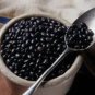 Limited Edition 50 BLACK BEAN (Black Turtle Bush Bean) Phaseolus Vulgaris Vegetable Seeds