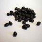 Limited Edition 50 BLACK BEAN (Black Turtle Bush Bean) Phaseolus Vulgaris Vegetable Seeds