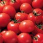 Limited Edition 300 SMALL Red CHERRY TOMATO Lycopersicon Lycopersicum Fruit Vegetable Seeds