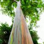 New Arrival 50 RAINBOW EUCALYPTUS Deglupta Gum Multicolor Bark Tree Seeds