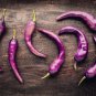 New Arrival 50 PURPLE CAYENNE PEPPER Capsicum Annuum Vegetable Seeds