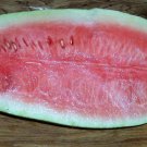Top-Quality 50 CONGO WATERMELON Red Citrullus Lanatus 40 lbs AAS Winner Fruit Melon Seeds