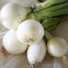 Premium 500 Crystal White WAX PEARL ONION Allium Cepa Vegetable Seeds Premium 500 Crystal White WAX PEARL ONION Allium Cepa Vegetable Seeds