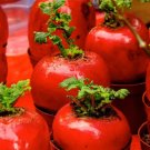 New Arrival 400 ATOMIC RED CARROT Daucus Carota Vegetable Seeds