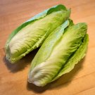 Top-Quality 250 SUGAR LOAF ENDIVE Radicchio Escarole Cichorium Intybus Green Vegetable Seeds Top-Quality 250 SUGAR LOAF ENDIVE Radicchio Escarole Cichorium Intybus Green Vegetable Seeds