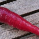 Top-Quality 400 COSMIC PURPLE CARROT Daucus Carota Vegetable Seeds Top-Quality 400 COSMIC PURPLE CARROT Daucus Carota Vegetable Seeds