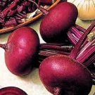 Premium 250 PIATTA D'EGITTO BEET Italian Heirloom Beta Vulgaris Cicla Vegetable Seeds Premium 250 PIATTA D'EGITTO BEET Italian Heirloom Beta Vulgaris Cicla Vegetable Seeds
