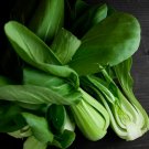 Limited Edition 400 Pak Choi White Stem Cabbage Seeds-Non GMO-Open Pollinated-Organic. Limited Edition 400 Pak Choi White Stem Cabbage Seeds-Non GMO-Open Pollinated-Organic.