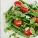Exclusive 300+ SWEET MARJORAM Seeds (Majorana hortensis) CULINARY & MEDICINAL Use-Non GMO