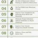 Limited Edition 300 Wild Bergamot -Bee Balm -Monarda fistulosas -Medicinal Herb Seeds