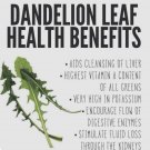 Limited Edition 600 Plus Chicory-Italian Dandelion-Non GMO-Open Pollinated. Limited Edition 600 Plus Chicory-Italian Dandelion-Non GMO-Open Pollinated.