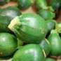Top-Quality 30 Round Zucchini Summer Squash-Non GMO-Open Pollinated-Organic