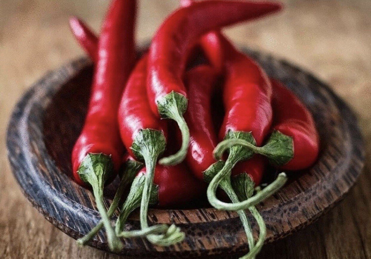Top-Quality 100 Plus HOT LONG RED CAYENNE PEPPER- Capsicum Annuum Seeds-Non GMO