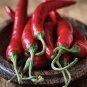 Top-Quality 100 Plus HOT LONG RED CAYENNE PEPPER- Capsicum Annuum Seeds-Non GMO