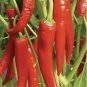 Top-Quality 100 Plus HOT LONG RED CAYENNE PEPPER- Capsicum Annuum Seeds-Non GMO