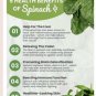 Exclusive 150 Plus Winter Giant Spinach Seeds-Heirloom-Non GMO- Open Pollinated.