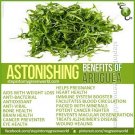 New Arrival 1500 ARUGULA SEEDS -NON-GMO-Open Pollinated-Organic.