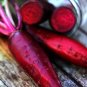Exclusive 200 Plus Cylindra Beet Seeds-NON GMO-Open Pollinated-Organic