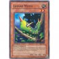 YuGiOh Card MRD-007 1st Edition - Larvae Moth [Common]