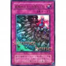 YuGiOh Japanese Card P5-05 - Acid Trap Hole [Ultra Rare Holo]