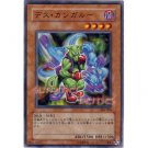 YuGiOh Japanese Card 306-005 - Des Kangaroo [Common]