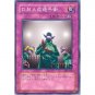 YuGiOh Japanese Card SK2-035 - DNA Surgery [Common]